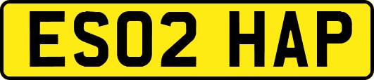 ES02HAP