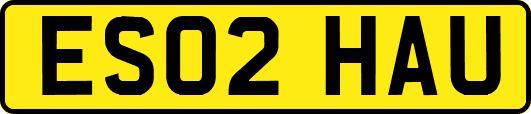 ES02HAU