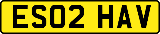 ES02HAV