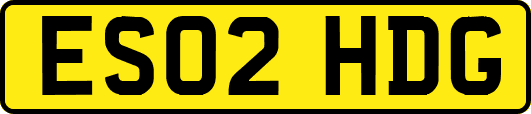 ES02HDG
