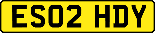 ES02HDY