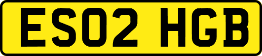 ES02HGB