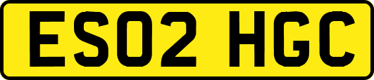 ES02HGC