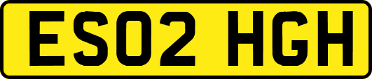 ES02HGH