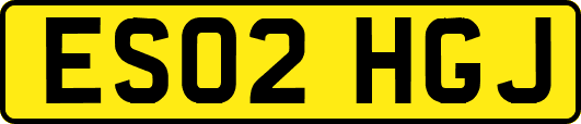 ES02HGJ