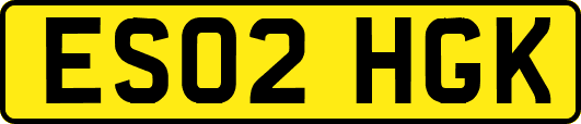 ES02HGK