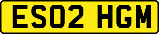 ES02HGM