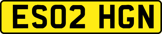 ES02HGN