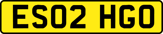 ES02HGO