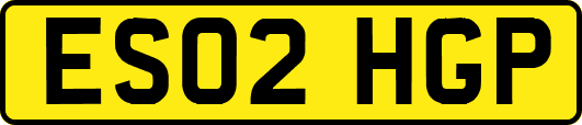 ES02HGP