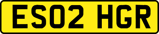 ES02HGR
