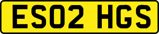 ES02HGS