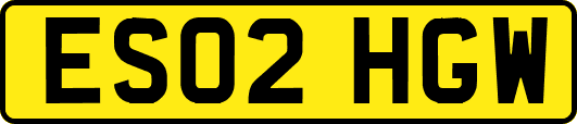 ES02HGW