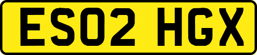 ES02HGX
