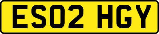 ES02HGY