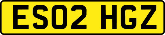 ES02HGZ