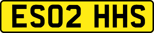 ES02HHS