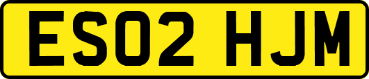 ES02HJM