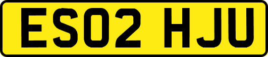 ES02HJU