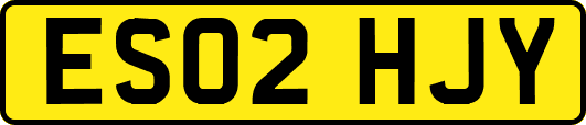 ES02HJY
