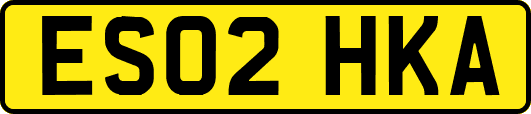 ES02HKA