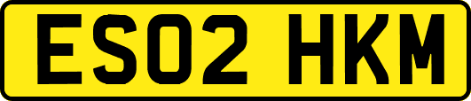 ES02HKM