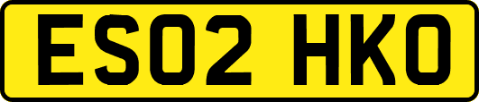 ES02HKO