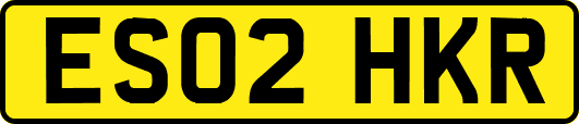 ES02HKR
