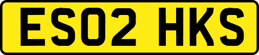 ES02HKS