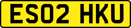 ES02HKU