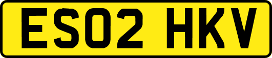 ES02HKV