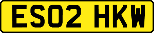 ES02HKW