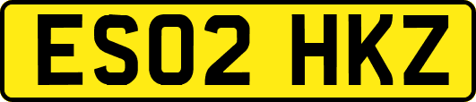 ES02HKZ