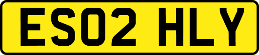 ES02HLY