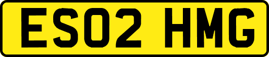 ES02HMG