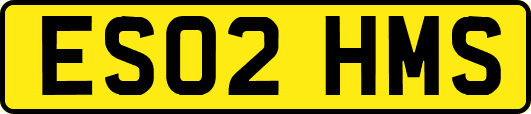 ES02HMS