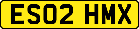 ES02HMX