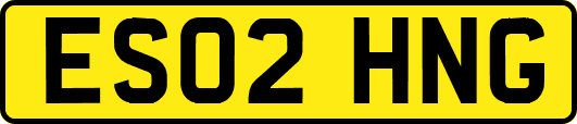 ES02HNG