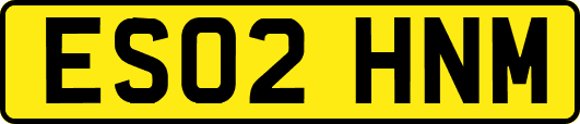 ES02HNM
