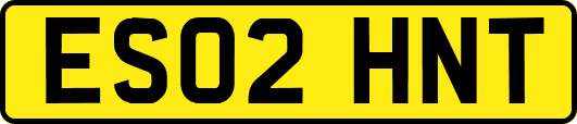 ES02HNT