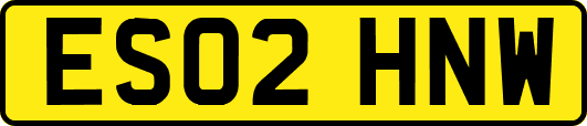ES02HNW