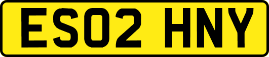 ES02HNY