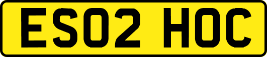 ES02HOC