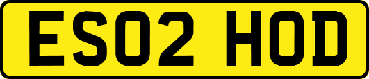 ES02HOD