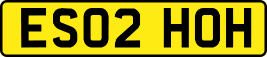 ES02HOH