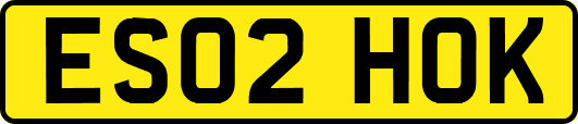 ES02HOK