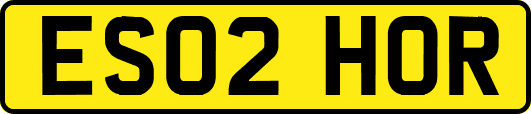ES02HOR