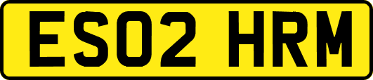 ES02HRM
