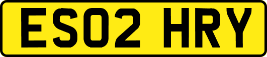 ES02HRY