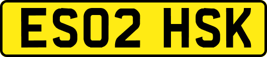 ES02HSK